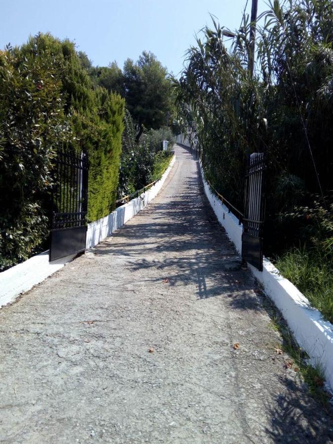 Villa Xanthippi Agia Paraskevi  Exteriör bild