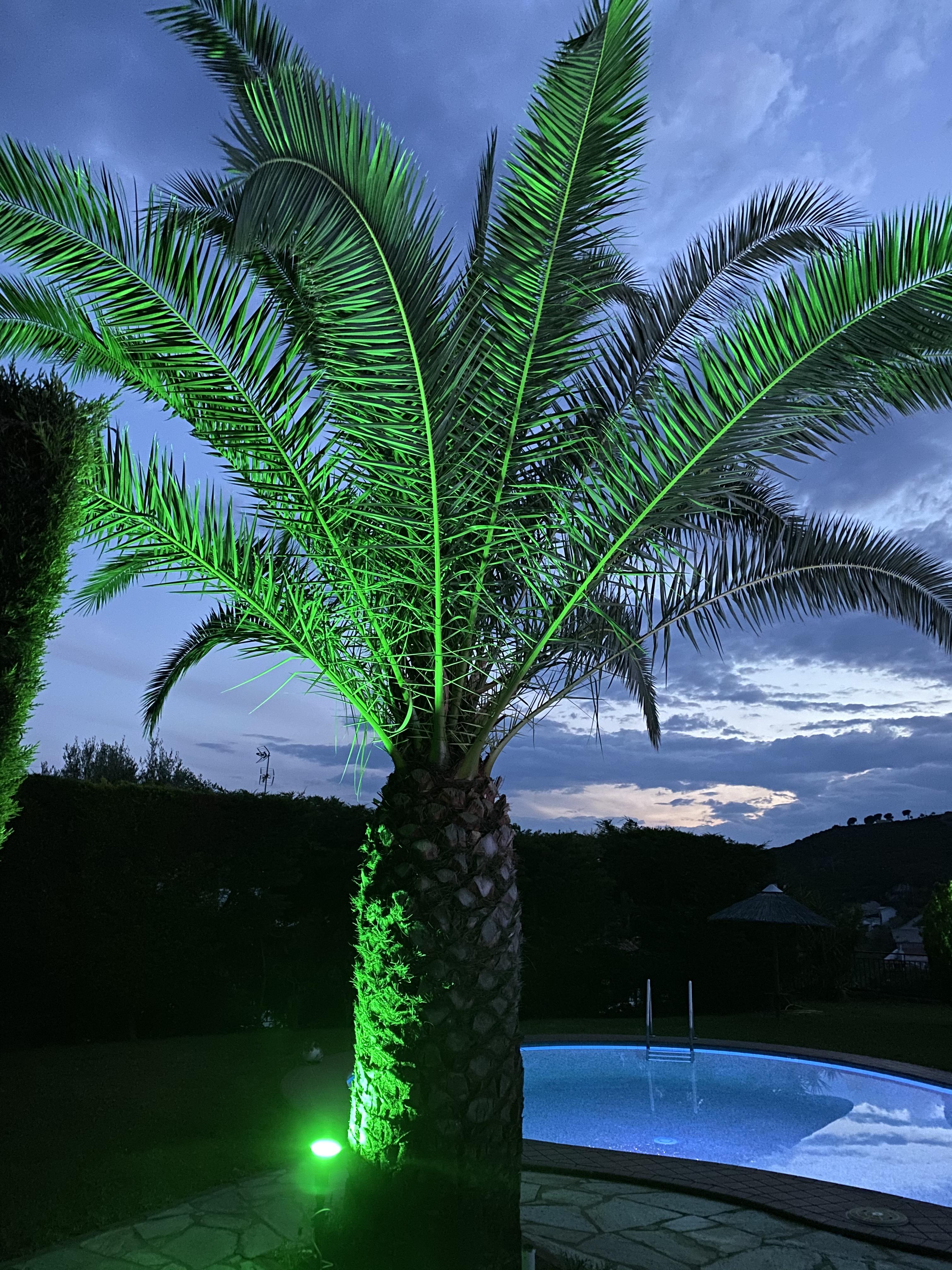 Villa Xanthippi Agia Paraskevi  Exteriör bild