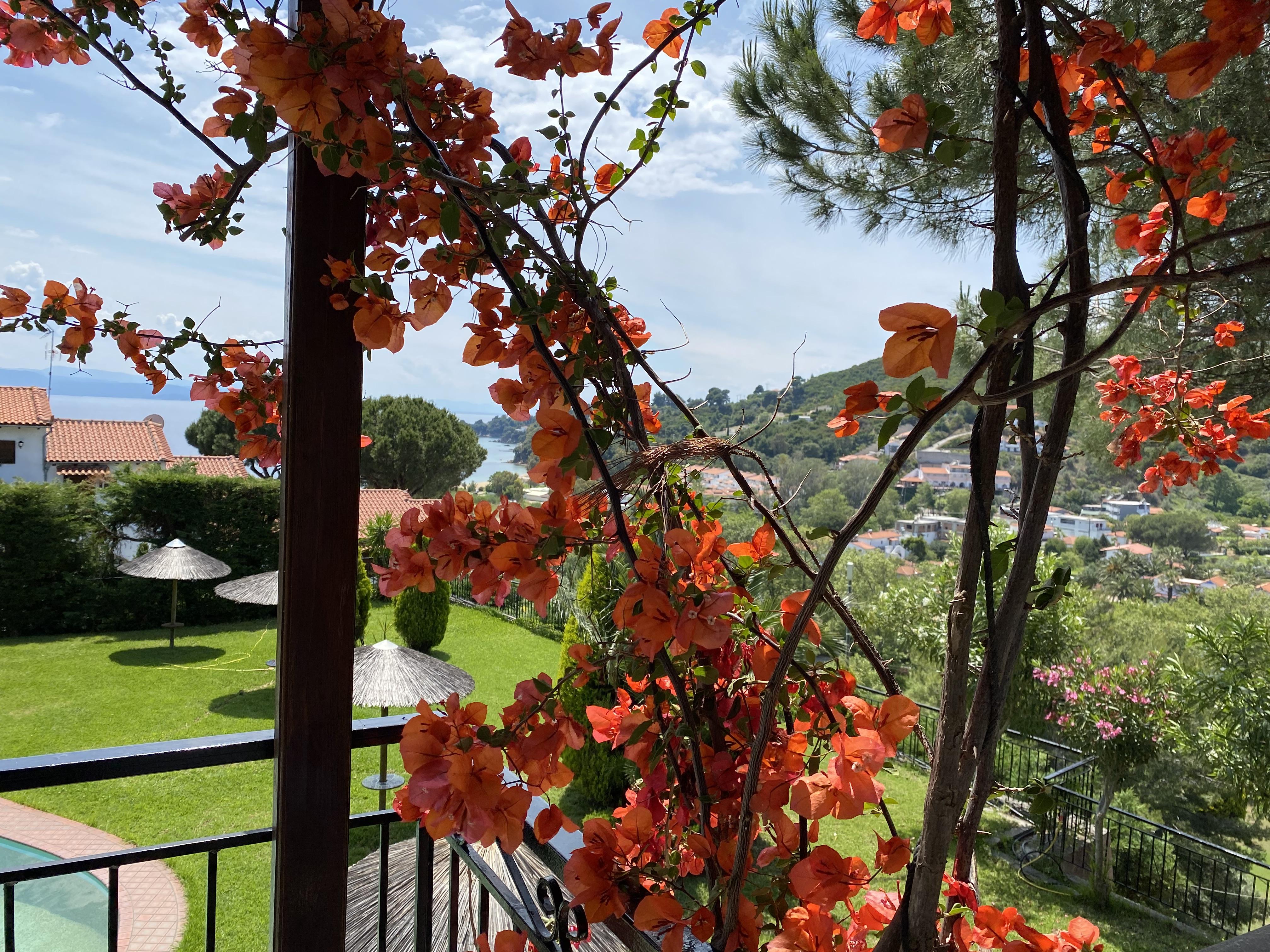 Villa Xanthippi Agia Paraskevi  Exteriör bild