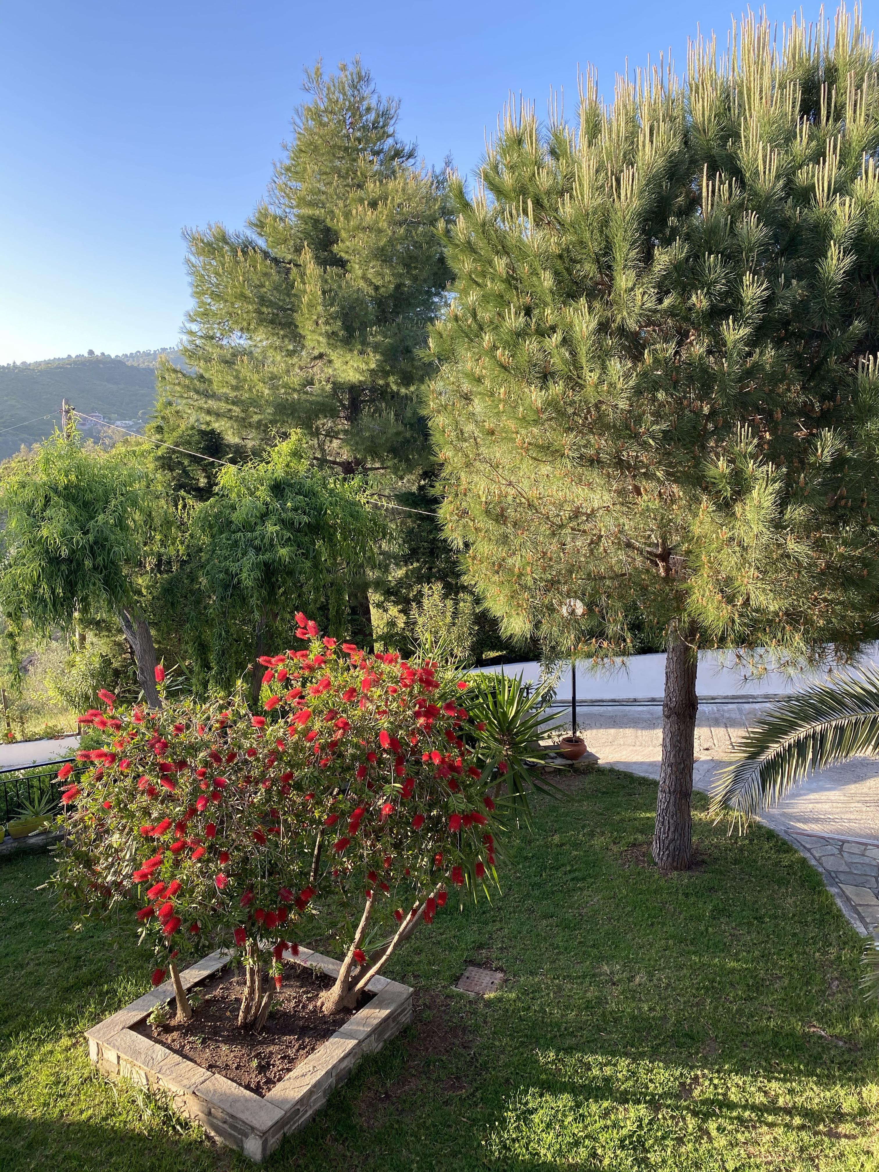 Villa Xanthippi Agia Paraskevi  Exteriör bild